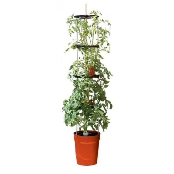 Tomatentoren Met Bewateringssysteem - 150 Cm - Afbeelding 2