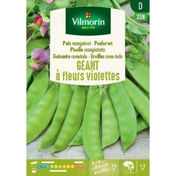 Peulerwt Geant à Fleurs Violettes