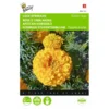 Afrikaan Golden Age - Tagetes Erecta