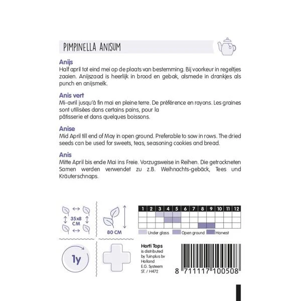 Anijs - Pimpinella Anisum - Afbeelding 2