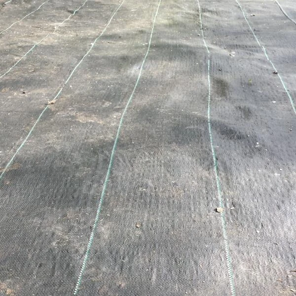 Gronddoek - Onkruidwerend 4 M × 5 M - Afbeelding 2