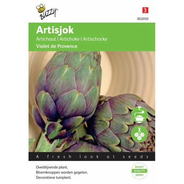 Artisjok Violet De Provence - Cynara Scolymus