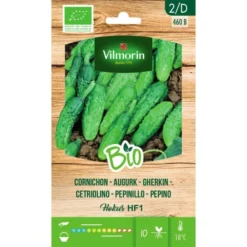 Augurk Hokus HF1 BIO