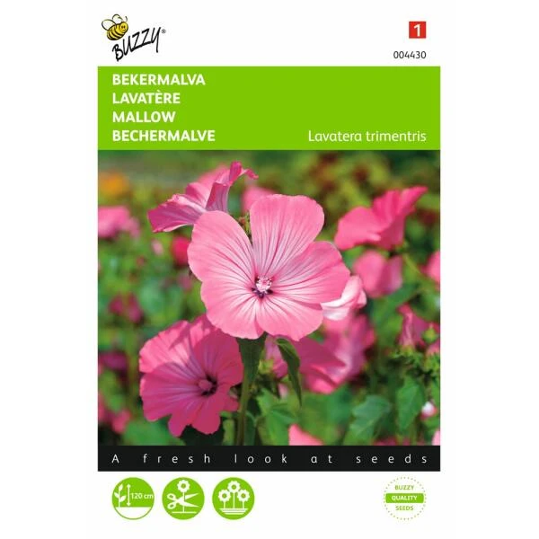 Bekermalva - Lavatera Trimestris