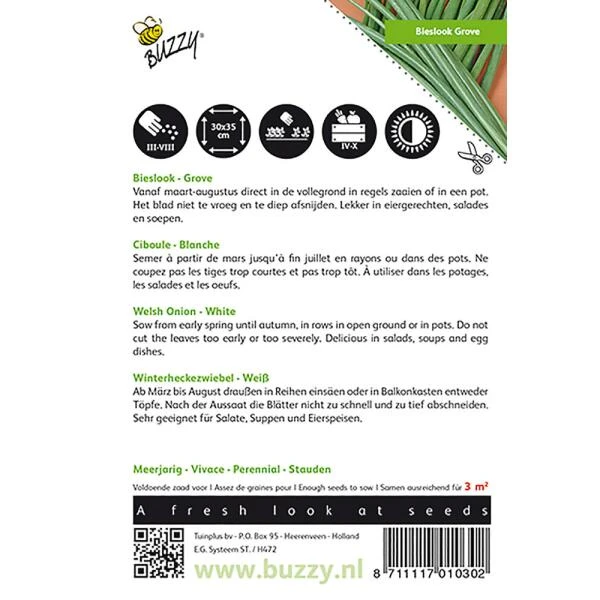 Bieslook Grove - Allium Fistulosum - Afbeelding 2