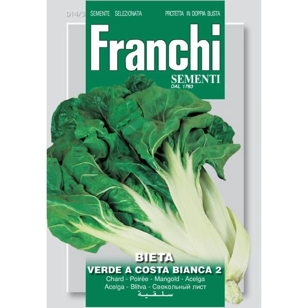 Bietola Verde A Costa Bianca 2 - Groene Snijbiet