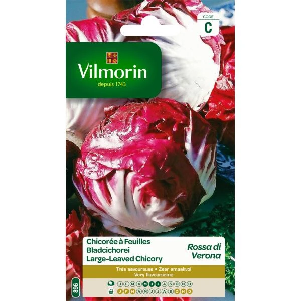 Bladcichorei Rode Van Verona