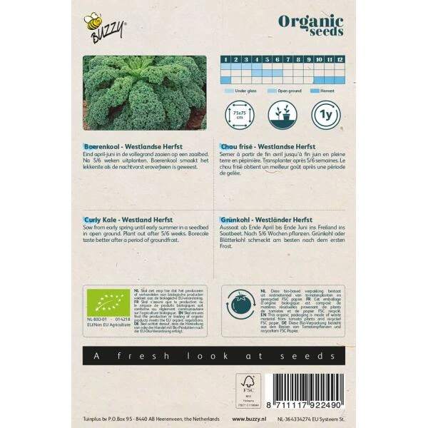 Boerenkool Westlandse BIO - Afbeelding 2