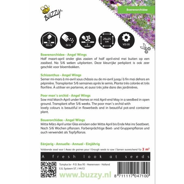 Boerenorchidee Angel Wings - Schizanthus Sinuata Wisetonensis - Afbeelding 2