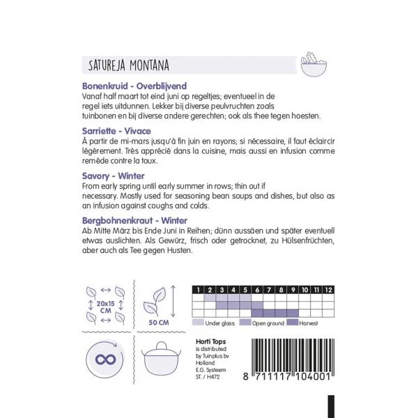 Bonenkruid - Satureja Montana - Afbeelding 2