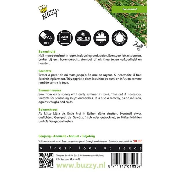 Bonenkruid Eenjarig - Satureja Hortensis - Afbeelding 2