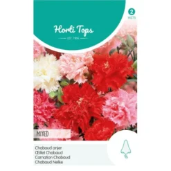 Chabaud Anjer Mix - Dianthus Caryophyllus