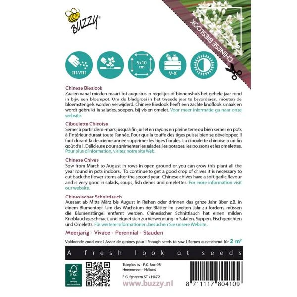 Chinese Bieslook - Allium Tuberosum - Afbeelding 2