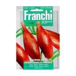 Cipolla Rossa Lunga Da Firenze - Uien Lang