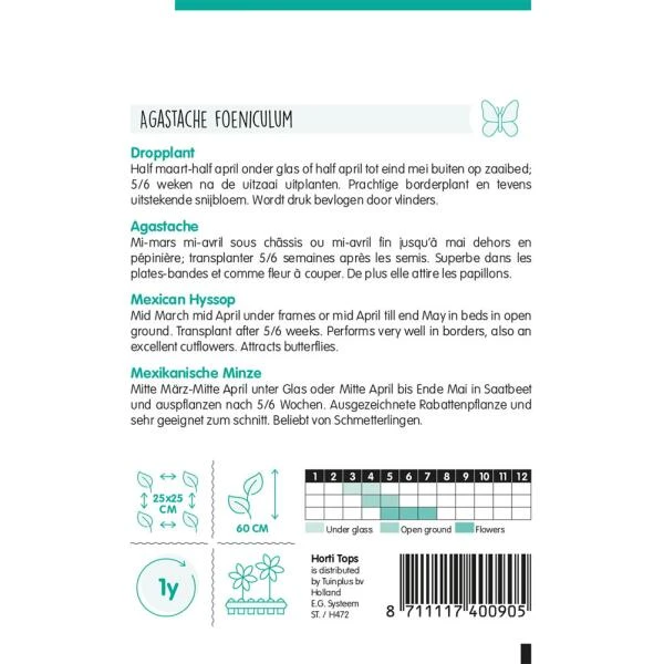 Dropplant - Agastache Mexicana - Afbeelding 2