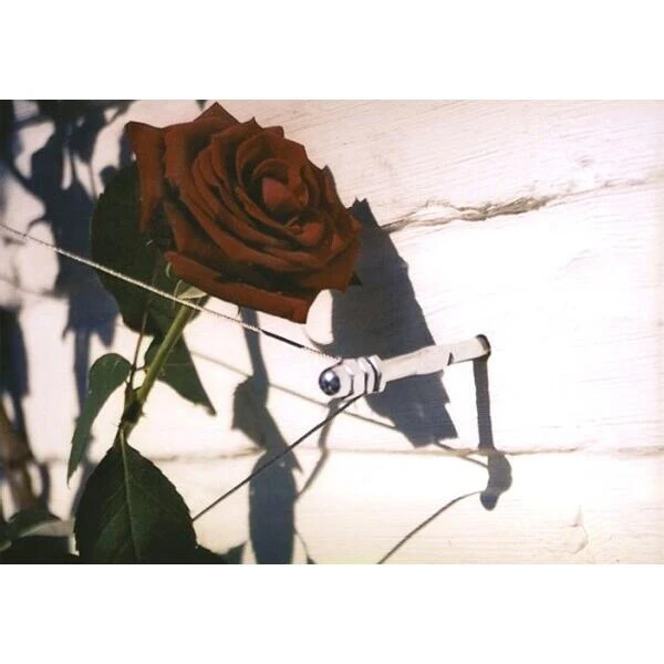 Geleidingssysteem Voor Klimplanten Palissa - Afbeelding 3