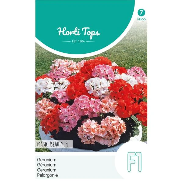 Geranium Magic Beauty - Pelargonium Zonale