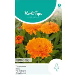 Goudsbloem Orange King - Calendula Officinalis