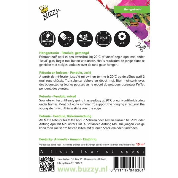 Hangpetunia - Petunia Pendula - Afbeelding 2