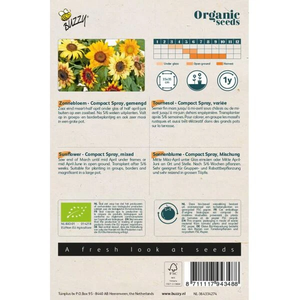 Helianthus, Zonnebloem Compact Spray BIO - Afbeelding 2