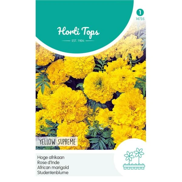 Hoge Afrikaan Yellow Supreme - Tagetes Erecta