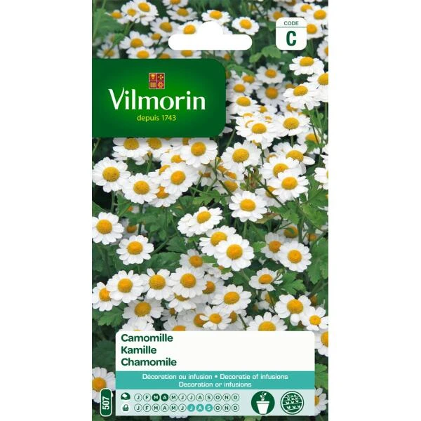 Kamille - Matricaria Chamomilla