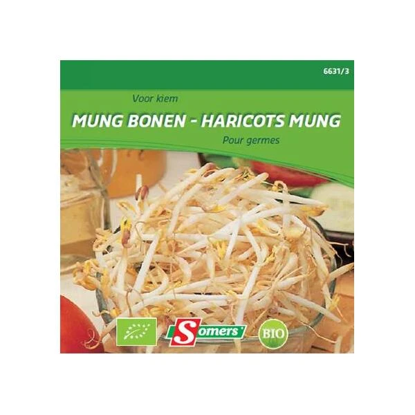 Kiemen Mung Bonen - Taugé - BIO