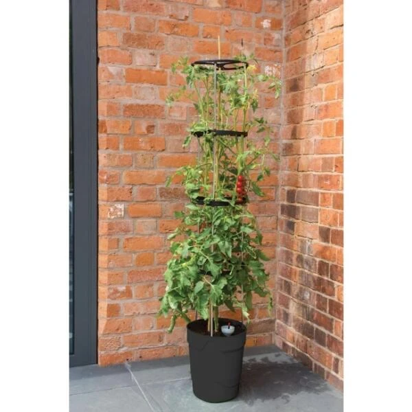 Tomatentoren 150 Cm Met Bewateringssysteem - Grijs - Afbeelding 2