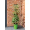 Klimplantentoren 150 Cm Met Bewateringssysteem - Groen