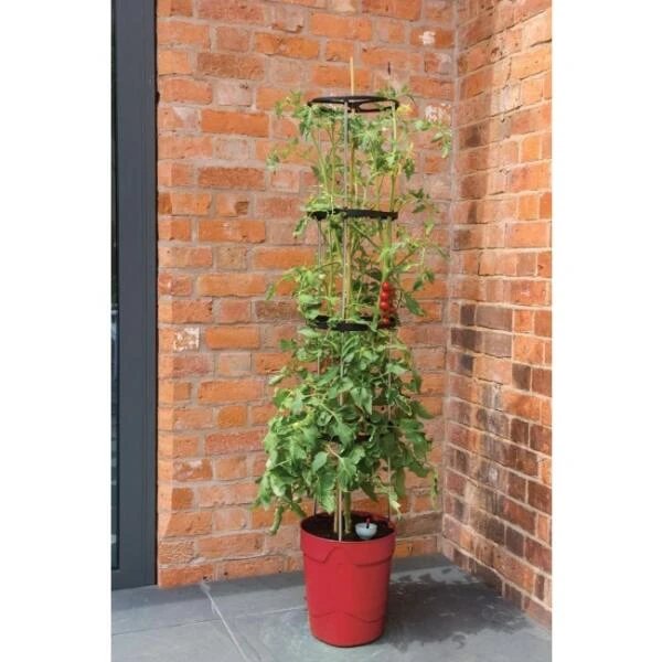 Tomatentoren Met Bewateringssysteem - 150 Cm - Afbeelding 4