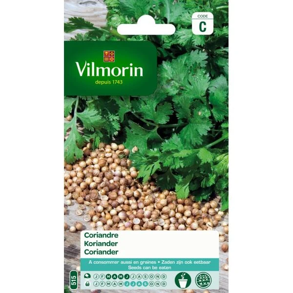 Koriander - Coriandrum Sativum