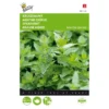 Kruizemunt - Mentha Spicata