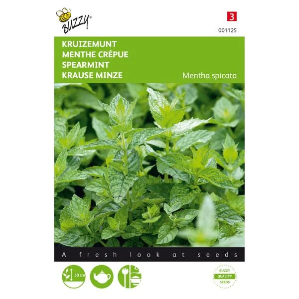 Kruizemunt - Mentha Spicata