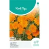 Lage Afrikaan Tangerine - Tagetes Patula Nana