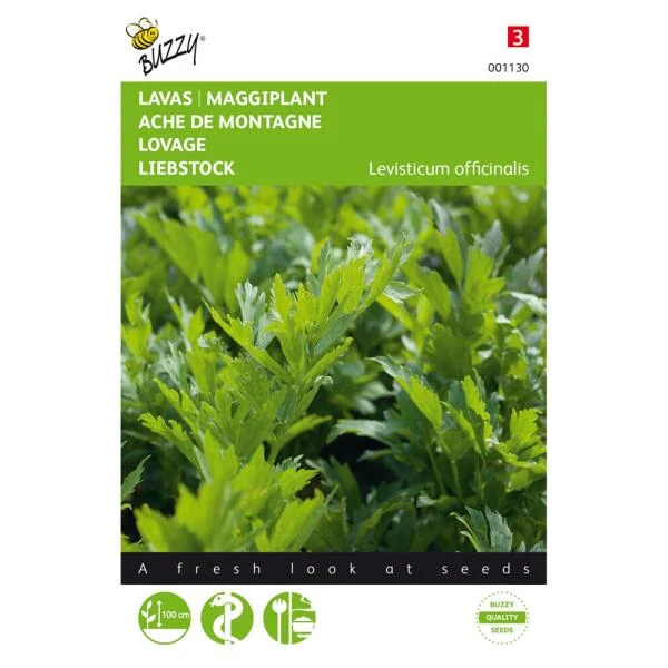 Lavas Of Maggikruid - Levisticum Officinalis