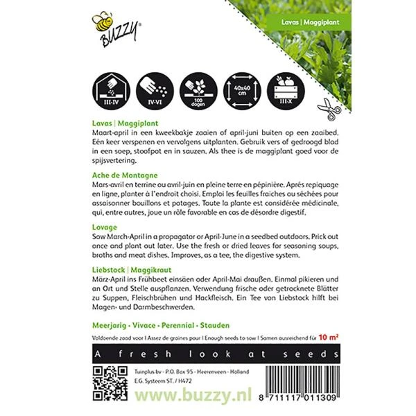 Lavas Of Maggikruid - Levisticum Officinalis - Afbeelding 2