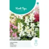 Leeuwenbekje Tom Thumb - Antirrhinum Majus Pumilum