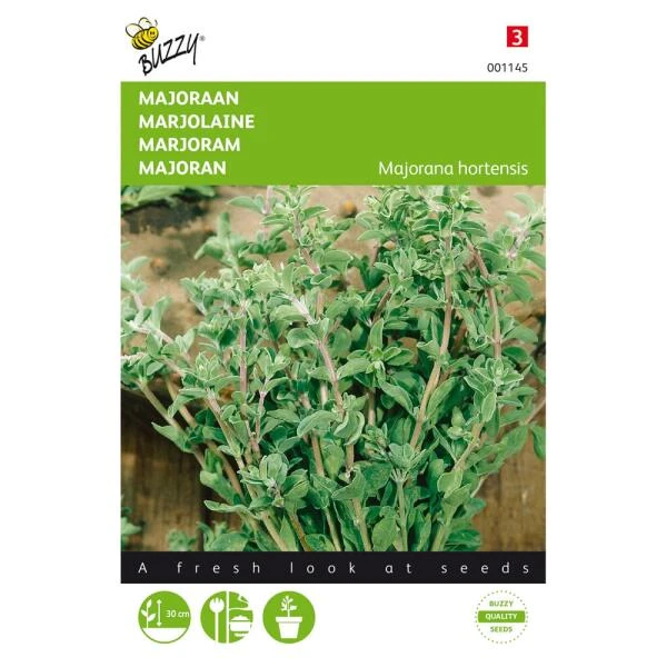 Majoraan - Origanum Majorana