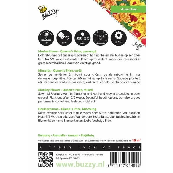 Maskerbloem Queens Price - Mimulus Luteus Tigrinus - Afbeelding 2