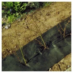 Hagenvlies - Onkruidbeschermvlies 25 × 0,5 M