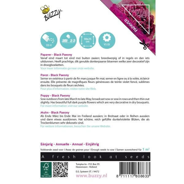 Papaver Black Paeony - Afbeelding 2