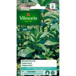 Pepermunt - Mentha Piperita