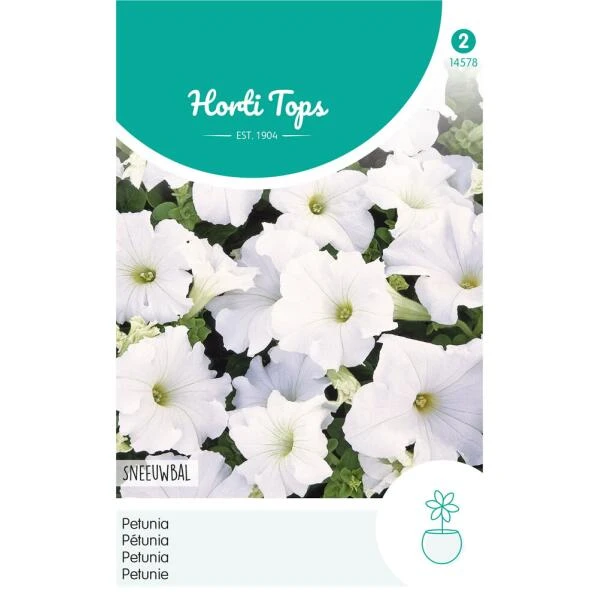 Petunia Sneeuwbal - Petunia Nana Compacta