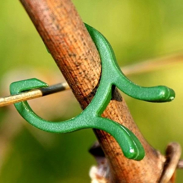 Plantenclips Kunststof - Set Van 50 Stuks - Afbeelding 2