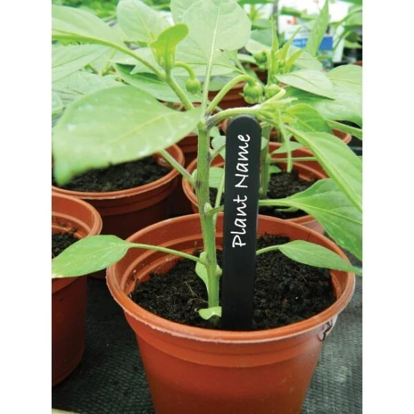 Plantenlabels Zwart Kunststof - 20 Cm - Set Van 20 Stuks - Afbeelding 2