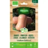 Pompoen Butternut BIO