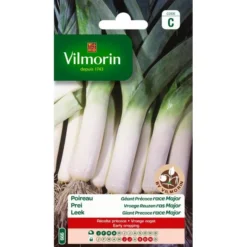 Prei Vroege Reuzen Ras Major