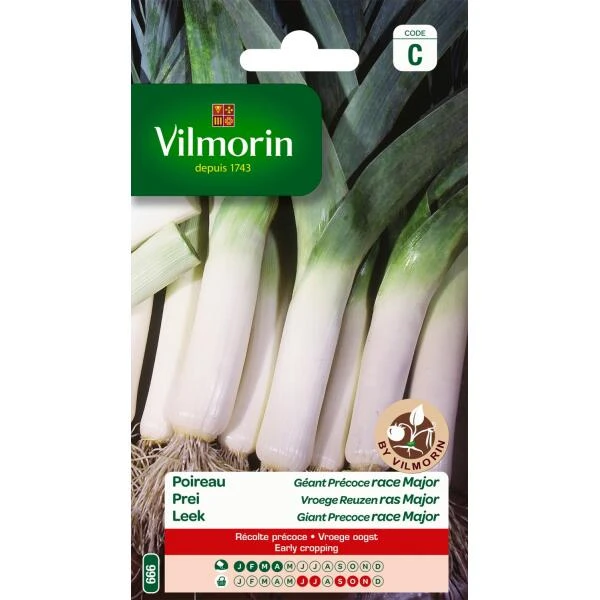 Prei Vroege Reuzen Ras Major