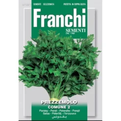 Prezzemolo Comune 2 - Peterselie