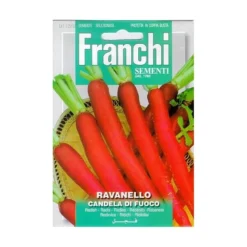 Ravenello Candela Di Fuoco - Radijs Wortelvormig